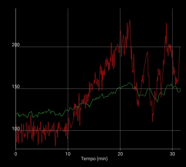 WhatsApp Image 2020-04-27 at 15.53.14.jpeg